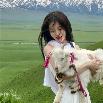 顽皮豹与铲子