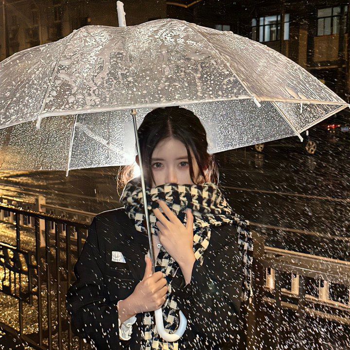 艾哈迈德王子历险记